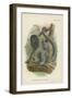 Humboldt's Woolly Monkey-null-Framed Giclee Print