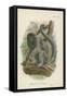 Humboldt's Woolly Monkey-null-Framed Stretched Canvas