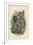 Humboldt's Woolly Monkey-null-Framed Giclee Print