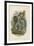 Humboldt's Woolly Monkey-null-Framed Giclee Print
