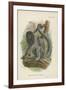 Humboldt's Woolly Monkey-null-Framed Giclee Print