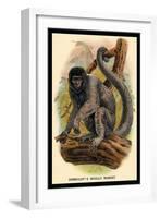 Humboldt's Woolly Monkey-G.r. Waterhouse-Framed Art Print