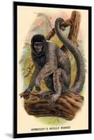 Humboldt's Woolly Monkey-G.r. Waterhouse-Mounted Art Print