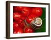 Humbug Snail on Bright-null-Framed Photographic Print