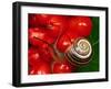 Humbug Snail on Bright-null-Framed Photographic Print