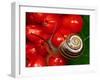 Humbug Snail on Bright-null-Framed Photographic Print