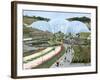 Humid Tropics Biome, Eden Project, Cornwall-Peter Thompson-Framed Photographic Print