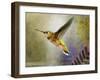 Hummer Flight-Chris Vest-Framed Art Print