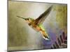 Hummer Flight-Chris Vest-Mounted Art Print