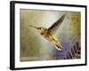 Hummer Flight-Chris Vest-Framed Art Print