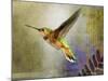 Hummer Flight-Chris Vest-Mounted Art Print