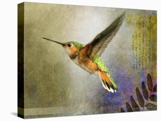 Hummer Flight-Chris Vest-Stretched Canvas