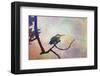 Hummer Mist-Chris Vest-Framed Art Print