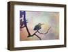 Hummer Mist-Chris Vest-Framed Art Print