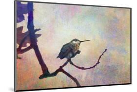 Hummer Mist-Chris Vest-Mounted Art Print