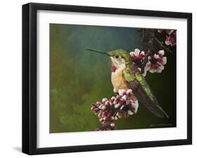 Hummer with Blossoms-Chris Vest-Framed Art Print