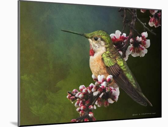 Hummer with Blossoms-Chris Vest-Mounted Art Print