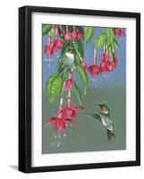 Hummers and Fuchsia-Fred Szatkowski-Framed Art Print