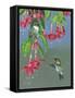 Hummers and Fuchsia-Fred Szatkowski-Framed Stretched Canvas