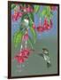 Hummers and Fuchsia-Fred Szatkowski-Framed Art Print