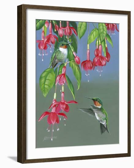 Hummers and Fuchsia-Fred Szatkowski-Framed Art Print