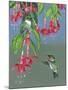 Hummers and Fuchsia-Fred Szatkowski-Mounted Art Print