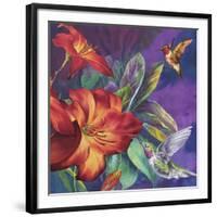 Hummers Feeding-Bill Jackson-Framed Giclee Print