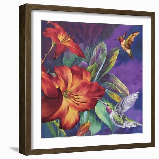 Hummers Feeding-Bill Jackson-Framed Giclee Print