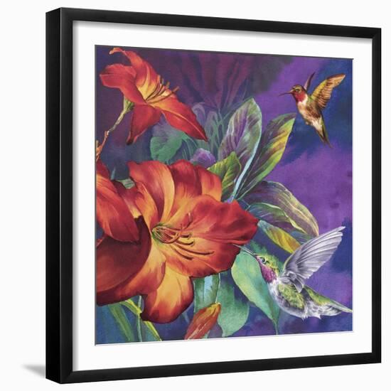 Hummers Feeding-Bill Jackson-Framed Giclee Print