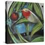 Humming Bird and Cherry-Tim Nyberg-Stretched Canvas