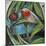 Humming Bird and Cherry-Tim Nyberg-Mounted Giclee Print