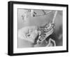 Humming Bird and Chicks in a Spoon-null-Framed Photographic Print