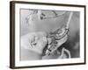 Humming Bird and Chicks in a Spoon-null-Framed Photographic Print