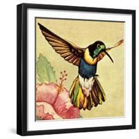 Humming Bird-English School-Framed Giclee Print