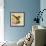 Humming Bird-English School-Framed Giclee Print displayed on a wall