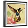 Humming Bird-English School-Framed Giclee Print