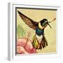 Humming Bird-English School-Framed Giclee Print