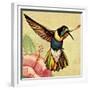 Humming Bird-English School-Framed Giclee Print