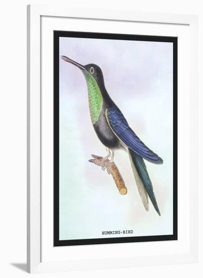 Humming-Bird-Sir William Jardine-Framed Art Print