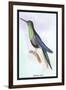 Humming-Bird-Sir William Jardine-Framed Art Print