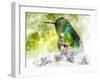 Humming Bird-Chamira Young-Framed Art Print