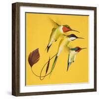 Humming Birds-null-Framed Giclee Print