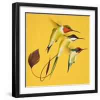 Humming Birds-null-Framed Giclee Print