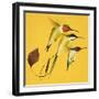 Humming Birds-null-Framed Giclee Print