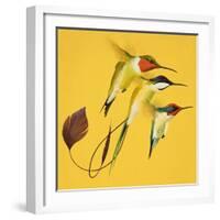 Humming Birds-null-Framed Giclee Print