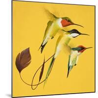 Humming Birds-null-Mounted Giclee Print