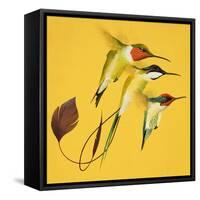 Humming Birds-null-Framed Stretched Canvas