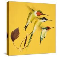 Humming Birds-null-Stretched Canvas