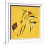 Humming Birds-null-Framed Giclee Print