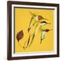 Humming Birds-null-Framed Giclee Print